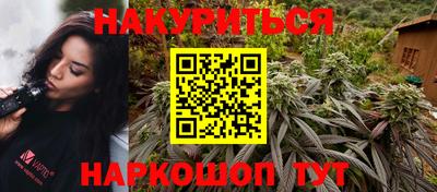 индика Дубна