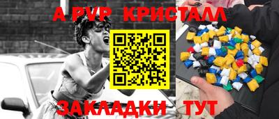 индика Дубна