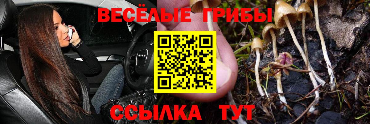 Псилоцибиновые грибы Magic Shrooms Моршанск